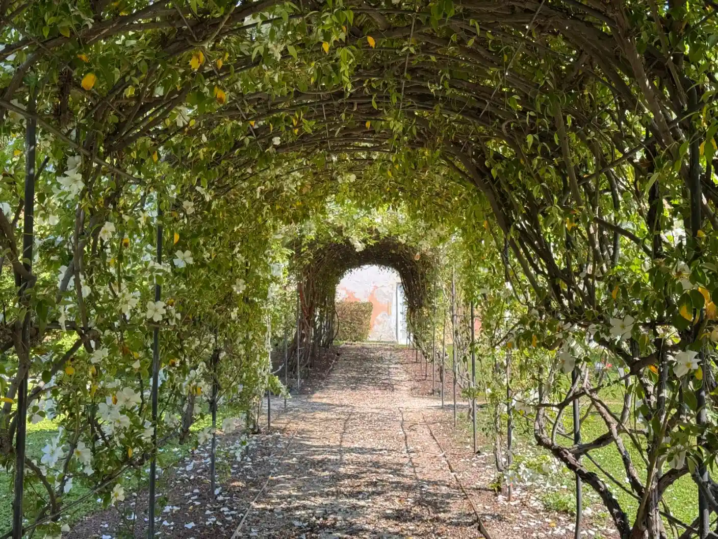 Tour ai parchi e al roseto di Nervi con picnic finale